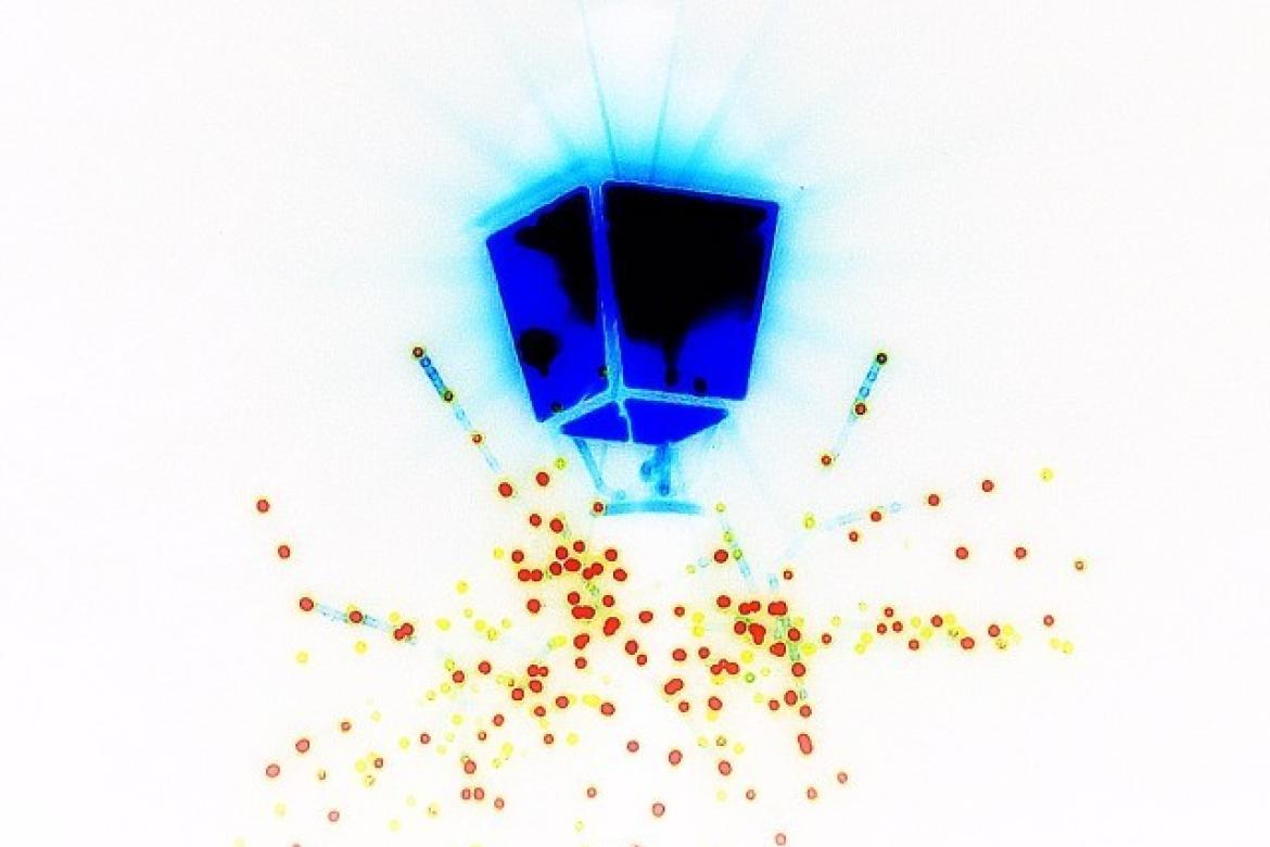 Le illuminations de Noël